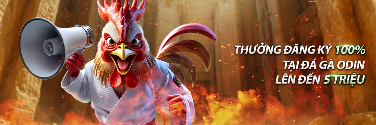 Giá trị của các chương trình khuyến mãi tại trang cá cược uy tín